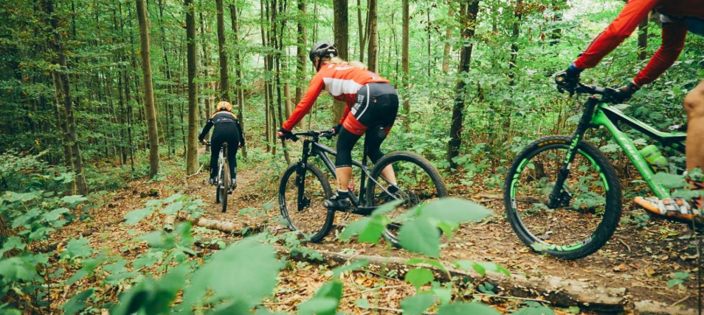 Cykelferie I Jylland - Find Cykelruter Til En Cykelferie Med Børn Her